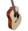 Alvarez Regent Dreadnought w/Deluxe Gig bag (RD26) | Musician Madness