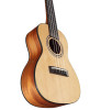 Alvarez Regent Concert Ukulele (RU26C) | Musician Madness