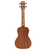 Alvarez Regent Concert Ukulele (RU26C) | Musician Madness
