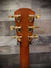Alvarez Yairi Stage Weir Model Model Cedar Rosewood AE w/ Cutaway (WY1)