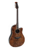 Ovation Celebrity Traditional Plus E-Acoustic Guitar CS24P-NBM Nutmeg Burled Maple (CS24P-NBM-G)