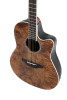 Ovation Celebrity Traditional Plus E-Acoustic Guitar CS24P-NBM Nutmeg Burled Maple (CS24P-NBM-G)