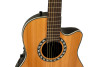 Ovation Pro Series Classic Nylon Legend E-Acoustic Classic Guitar 1773AX-4 Natural (1773AX-4-G)