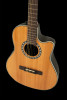 Ovation Pro Series Classic Nylon Legend E-Acoustic Classic Guitar 1773AX-4 Natural (1773AX-4-G) | Musician Madness