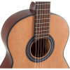 GEWA Student Classical Guitar 3/4 Natural Cedar (VG500126)
