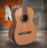 Manuel Rodriguez Superior C-C Cedar/Indian Rosewood 4/4 Gloss Armrest (C-C) | Musician Madness