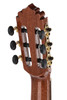 Manuel Rodriguez Exotica EX-SS-EA Santos Rosewood/Spruce 4/4 Gloss E-Acoustic (ES-SS-EA)
