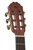 GEWA Caballero Stage by MR Flamenco Guitar with Preamp 4/4, Slim Electric Neck (CA-PM-SE) | Musician Madness