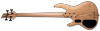 LTD B-204 - Natural Satin (LB204SMNS) | Musician Madness
