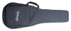 Takamine SH500A Semi Hard Case NEX (CTAKSH500A) | Musician Madness