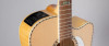 Takamine GD74CE-12U - Gloss Natural w/ Gig Bag (TAKGD74CE12UNAT)