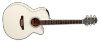 Takamine GN37CE - Pearl White w/ Gig Bag (TAKGN37CEPW) | Musician Madness