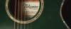 Takamine LTD2025 - Gloss Antique Evergreen w/ Semi-Hard Case (JTAKLTD2025)
