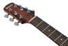 Ibanez AAD51CE Acoustic Electric Guitar - Sunburst (AAD51CESB) | Musician Madness