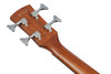 Ibanez PCB54E Acoustic Electric Bass Guitar - Open Pore Natural (PCB54EOPN) | Musician Madness