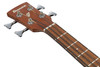 Ibanez PCB54E Acoustic Electric Bass Guitar - Open Pore Natural (PCB54EOPN) | Musician Madness