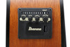 Ibanez PCB54E Acoustic Electric Bass Guitar - Open Pore Natural (PCB54EOPN) | Musician Madness
