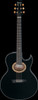 Ibanez Euphoria EP5 Steve Vai Signature Acoustic Electric Guitar - Pearl Black (EP5BP) | Musician Madness