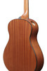 Ibanez AAM50OPM Advanced Acoustic Auditorium Pure Acoustic Guitar - Natural (AAM50OPN) | Musician Madness