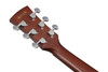 Ibanez PJ50E Acoustic-Electric Guitar - Open Pore Vintage Amber Sunburst (PJ50EOAH) | Musician Madness