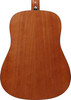 Ibanez PF50 Acoustic Guitar - Open-Pore Natural (PF50OPN) | Musician Madness