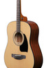 Ibanez PFT2 Tenor Acoustic Guitar - Natural High Gloss (PFT2NT) | Musician Madness