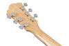 Ibanez AE170 Acoustic Electric Guitar - Natural (AE170NTR) | Musician Madness