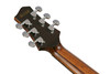 Ibanez PA300ENSL Acoustic Electric - Natural Satin w/ Gigbag (PA300ENSL) | Musician Madness