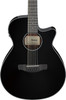 Ibanez AEG5012BK Acoustic Electric 12-String Guitar - Black (AEG5012BK) | Musician Madness