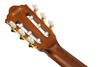 Ibanez AEG50NBKH Acoustic Electric Nylon-String Guitar - Black (AEG50NBKH) | Musician Madness
