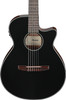 Ibanez AEG50NBKH Acoustic Electric Nylon-String Guitar - Black (AEG50NBKH) | Musician Madness