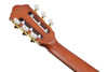 Ibanez FRH10N Nylon-String Acoustic Electric Guitar - Brown Sunburst Flat (FRH10NBSF) | Musician Madness