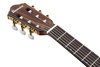 Ibanez FRH10N Nylon-String Acoustic Electric Guitar - Brown Sunburst Flat (FRH10NBSF) | Musician Madness