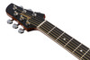 Ibanez Talman TCY10E Acoustic Electric Guitar - Ivory (TCY10EIVH) | Musician Madness