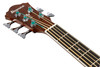Ibanez (AEB105ENT) | Musician Madness