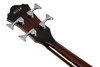 Ibanez AEB10EDVS Acoustic Electric Bass - Dark Violin Sunburst High Gloss (AEB10EDVS) | Musician Madness