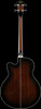 Ibanez AEB10EDVS Acoustic Electric Bass - Dark Violin Sunburst High Gloss (AEB10EDVS) | Musician Madness