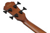 Ibanez AEGB24EBKH - 4 String Acoustic Electric Bass Guitar - Black High Gloss (AEGB24EBKH) | Musician Madness