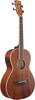 Ibanez PNB14EOPN Parlor Acoustic/Electric Bass - Open Pore Natural (PNB14EOPN)|Musician Madness