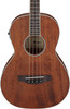 Ibanez PNB14EOPN Parlor Acoustic/Electric Bass - Open Pore Natural (PNB14EOPN)|Musician Madness