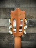 Ibanez GA34STCENT GA Classical Guitar - Natural High Gloss (GA34STCENT)