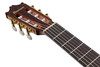Ibanez GA Series GA6CE Classical Cutaway Acoustic-Electric Guitar - Natural (GA6CE)|Musician Madness