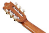 Ibanez GA Series GA6CE Classical Cutaway Acoustic-Electric Guitar - Natural (GA6CE)|Musician Madness
