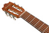 Ibanez GA3OAM Classical Acoustic Guitar - Amber (GA3OAM)|Musician Madness