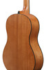 Ibanez GA3OAM Classical Acoustic Guitar - Amber (GA3OAM)|Musician Madness