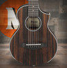 Ibanez Mini Guitar EWP13DBO Piccolo Acoustic Guitar Macassar  (EWP13DBO)|Musician Madness