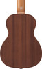 Ibanez UKS100OPN Soprano Ukulele Open Pore - With Gigbag (UKS100OPN)|Musician Madness