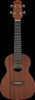 Ibanez UKS100OPN Soprano Ukulele Open Pore - With Gigbag (UKS100OPN)|Musician Madness