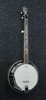 Ibanez B300 5-String Banjo with Rosewood Resonator (B300)|Musician Madness