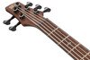 Ibanez SR Premium 5 String Electric Bass w/Bag - Aqua Wave Low Gloss (SR1325SBAVL)